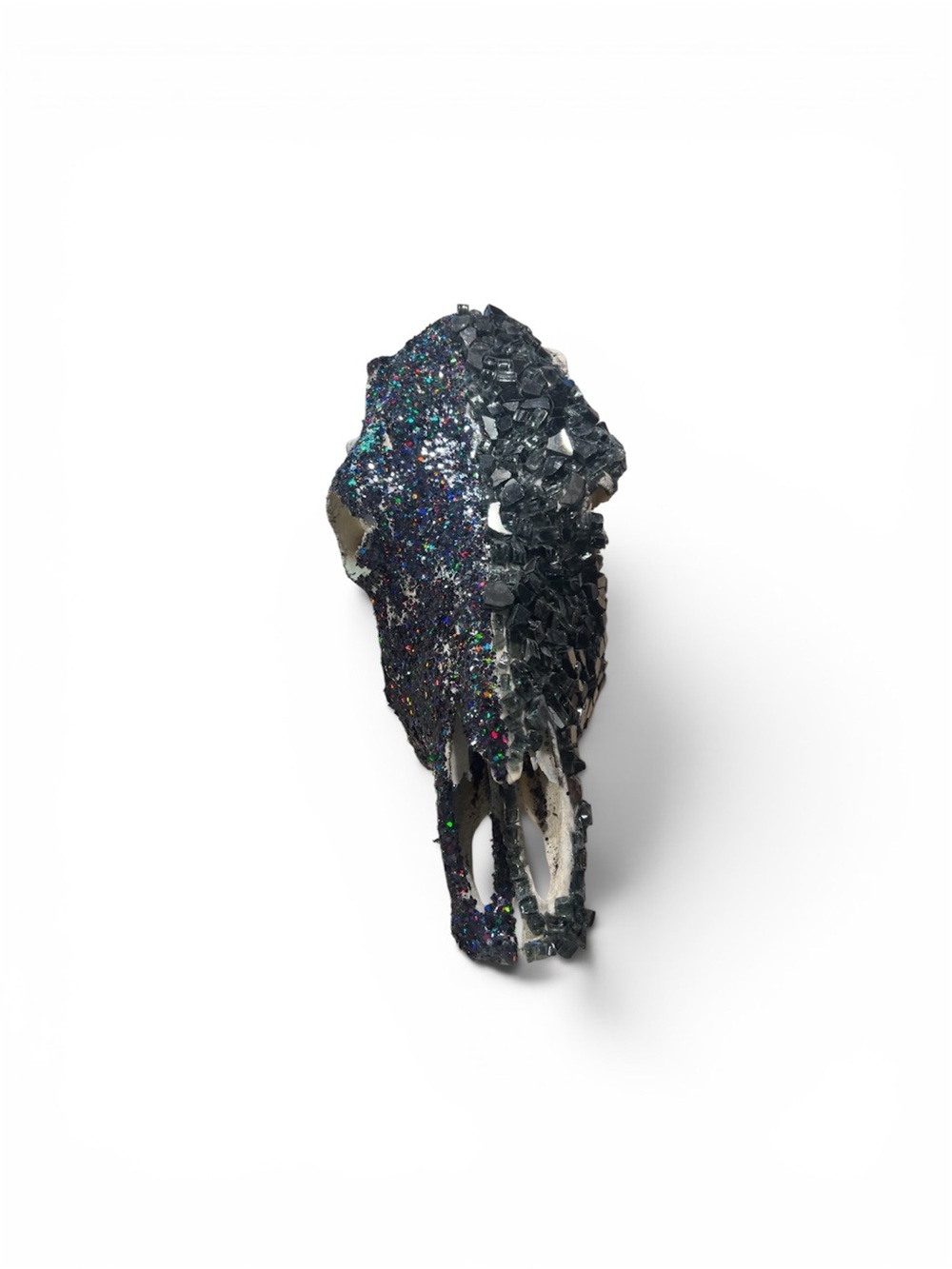 Black Glitter Cow Skull for Sale Brand New